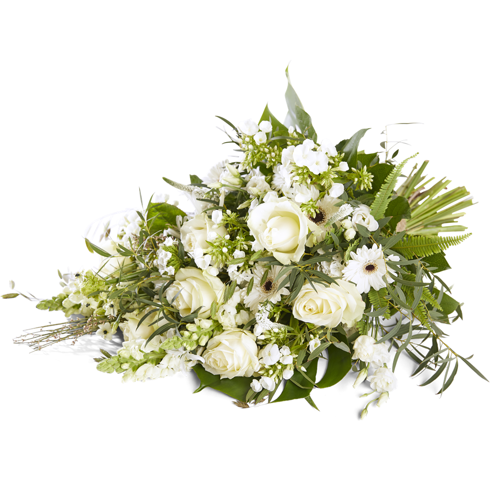 Bescheiden Bescheiden